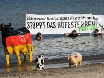Mit Latzhose und Transparenten gingen die Bauern in die Fluten und machten - wie schon Berufskollegen am Vortag - deutlich, dass ihnen das Wasser bis zum Hals steht. Foto: Bernd Wüstneck