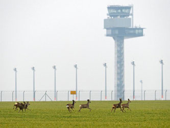 Die Fluggesellschaft Lufthansa hält es für ungünstig, den Hauptstadtflughafen mit einem knapp genähten Winterflugplan zu eröffnen. Foto: Ralf Hirschberger/Archiv