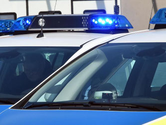 Ein Blaulicht am Polizeifahrzeug. Foto: Bernd Settnik/Archiv
