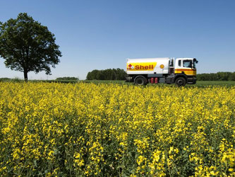 Ein Tankwagen fährt an einem blühenden Rapsfeld nahe dem brandenburgischen Hönow entlang. Foto: Robert Schlesinger/Illustration