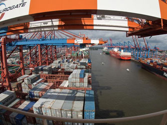 Containerterminal im Hamburger Hafen: Der deutsche Außenhandel hat im August einen empfindlichen Dämpfer erhalten. Foto: Christian Charisius/Archiv