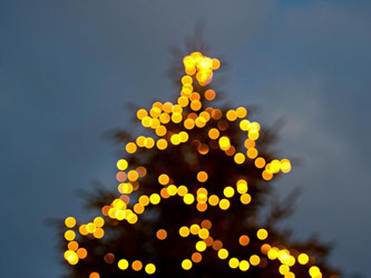 Elektrische Lichterketten für den Weihnachtsbaum sollte man am besten direkt an einer Steckdose anschließen und auf Steckdosenverteiler verzichten. Foto: Daniel Bockwoldt