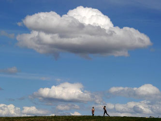 Bisher mussten Online-Plattformen, die Inhalte für ihre Nutzer speichern, zum Beispiel Cloud-Speicherdienste,für illegale Inhalte auf ihrer Plattform nicht haften. Foto: Tobias Hase