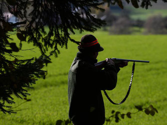 Ein Jäger während einer Treibjagd am Waldrand. Foto: Felix Kästle/Archiv