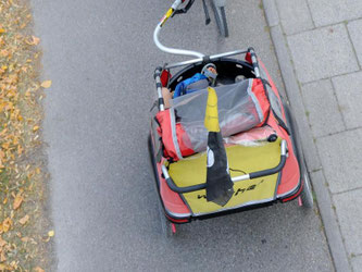 Gesicherte Gespannfahrer: In einem Anhänger sollten Kinder nur angeschnallt und mit Helm auf dem Kopf unterwegs sein. Foto: Tobias Hase