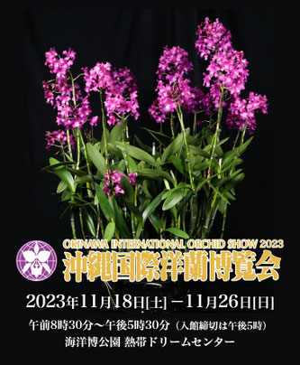 沖縄国際洋蘭博覧会入賞花 その1 - (株)東京オーキット・ナーセリー