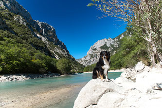 Unbeschreiblich schön: Die Wanderung in den "sanften" Teil der Verdonschlucht.