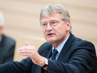 AfD-Fraktionschef Jörg Meuthen. Foto: Christoph Schmidt/Archiv