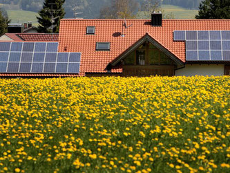 Wenn die Sonne scheint, sollten Solaranlagen ihr volle Leistung abrufen können. Ist das über längere nicht Zeit so, sollte man die Anlagen vom Fachmann überprüfen lassen. Foto: Karl-Josef Hildenbrand