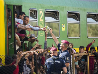 Hilfe für die Flüchtlinge in Bicske: Polizisten verteilen Früchte und Getränke. Foto: Balazs Mohai