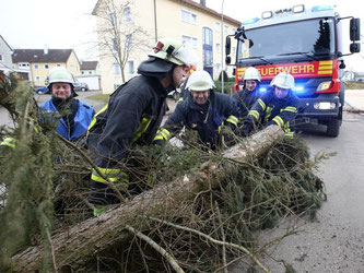 Feuerwehrmänner räumen in Riedlingen einen umgestürzten Baum von der Straße. Foto: Thomas Warnack