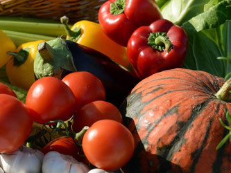 Bitte kein Fleisch: vegetarische Kost. Foto: Ralf Hirschberger