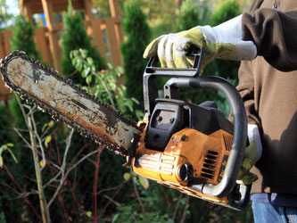 Mit kraftvollen Kettensägen lässt sich Brennholz zerkleinern, aber auch manche andere Arbeit im Garten erledigen. Foto: Nestor Bachmann