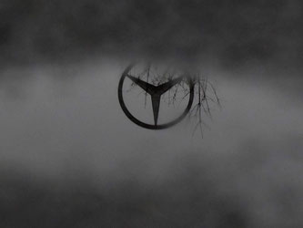 Der Daimler-Stern spiegelt sich in einer Pfütze. Foto: Marijan Murat/Archiv
