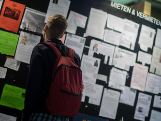Ein Student betrachtet Wohnungsanzeigen am Schwarzen Brett. Foto: Matthias Balk/Archiv