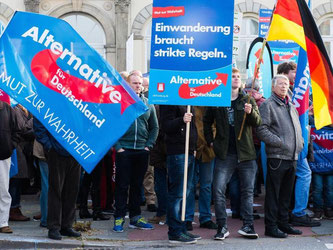 AfD-Anhänger während einer Kundgebung in Hamburg. Foto: Daniel Bockwoldt/Archiv