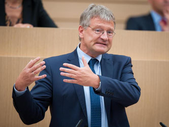 AfD-Fraktionschef Jörg Meuthen spricht im Landtag in Stuttgart. Foto: Christoph Schmidt