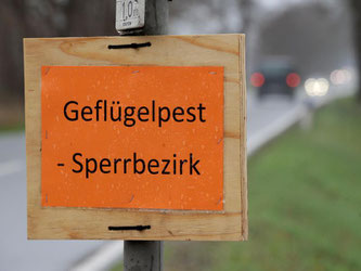 Ein Schild weist auf den Sperrbezirk wegen Geflügelgrippe hin. Foto: Ingo Wagner