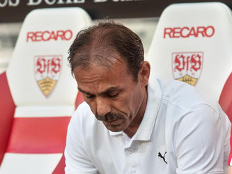 Jos Luhukay auf der VfB-Bank. Foto: Daniel Maurer/Archiv