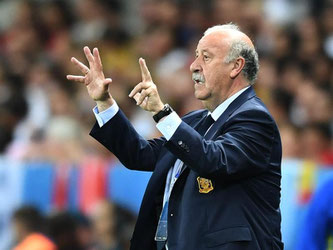 Trainer Vicente del Bosque war nach dem deutlichen Sieg seiner Spanier zufrieden. Foto: Federico Gambarini