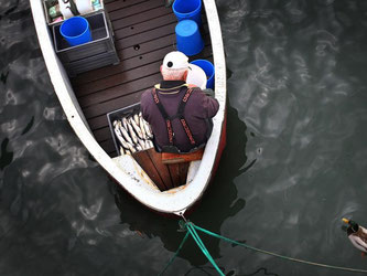 Ein Fischer putzt am Bodensee frisch gefangene Renken. Foto: Karl-Josef Hildenbrand/Archiv