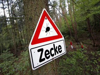 Ein Warnschild mit der Aufschrift «Zecke» hängt an einem Baum. Foto: Frank Rumpenhorst/ Archiv