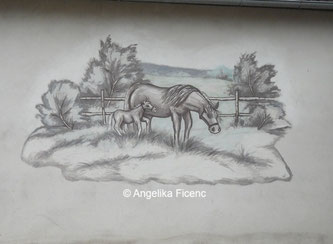 Pferde © Mag. Angelika Ficenc 