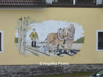 Landschaftsszene  © Mag. Angelika Ficenc 