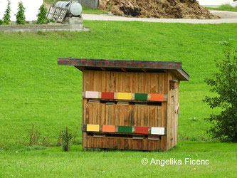 Bienenhaus © Mag. Angelika Ficenc