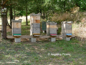 Bienenstöcke © Mag. Angelika Ficenc