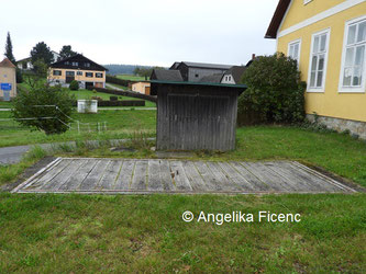 Brückenwaage Reinprechts