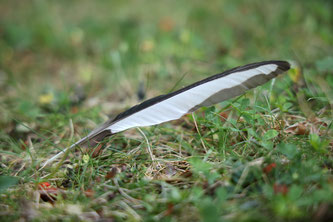 Foto: NABU/Jan Piecha