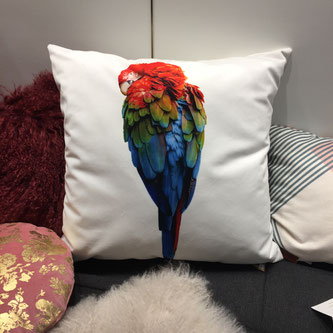 Coussin Artpilo par le photographe Maxime Gautier