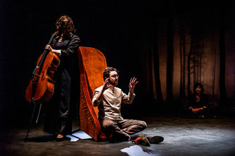 Spectacle, Nicolas Bonneau, Looking for Alceste, Théâtre La Passerelle, Gap