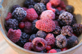 verschiedene Beeren in einer Schale gefroren