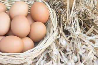 Eier im Korb