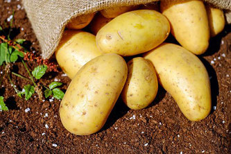 Kartoffeln im Sack