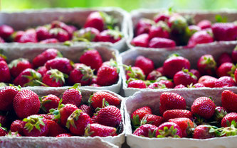 Erdbeeren