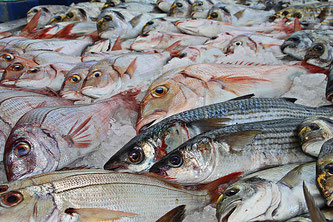 Fische am Markt