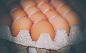 Eier auf Höcker