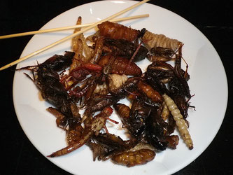 Frittierte Insekten auf Teller zum Essen