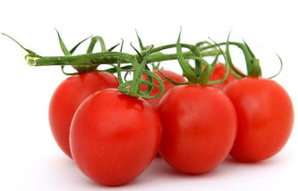 Frische Tomaten mit Rispen