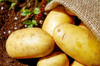 Kartoffeln im Sack