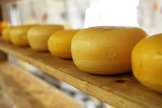 Käse reifen Holz
