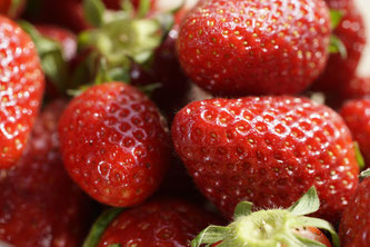 frische Erdbeeren