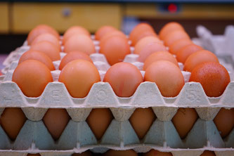Eier im Höcker