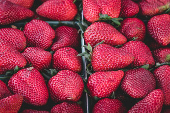 Reife Erdbeeren