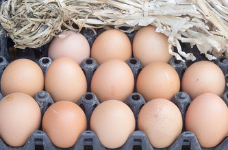Eier am Höcker