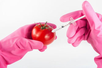 Tomaten Chemie Handschuhe