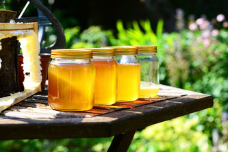 Honiggläser neben Bienenwaben